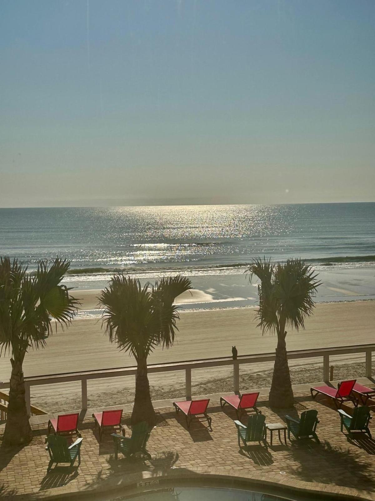 Flamingo Inn Beachfront - Daytona Beach Exteriér fotografie